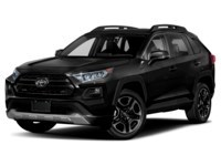 2020 Toyota RAV4 Trail AWD Exterior Shot 1