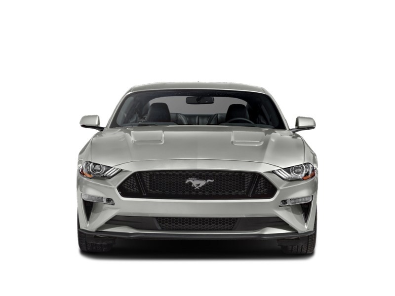 2019 Ford Mustang GT Fastback Exterior Shot 5