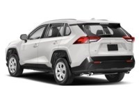 2019 Toyota RAV4 AWD LE Exterior Shot 9