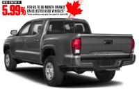 2020 Toyota Tacoma 4x4 Double Cab Auto Exterior Shot 8