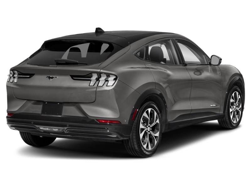 2021 Ford Mustang Mach-E Premium Exterior Shot 2