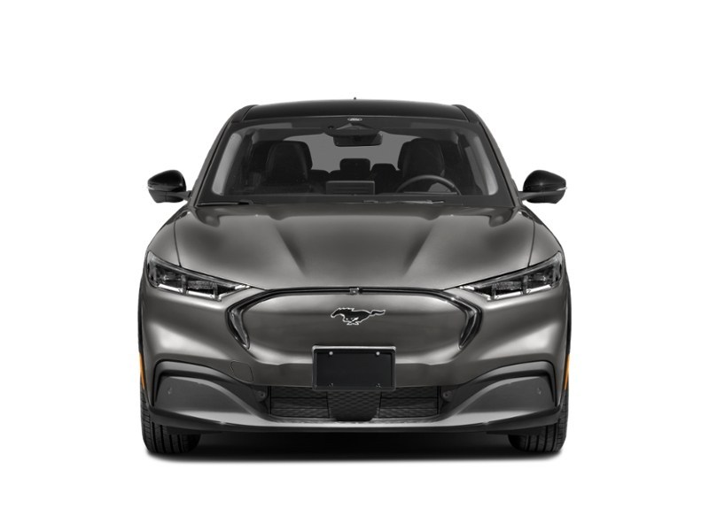 2021 Ford Mustang Mach-E Premium Exterior Shot 5