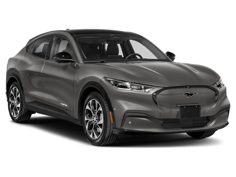 2021 Ford Mustang Mach-E Premium Exterior Shot 8