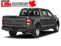 2023 Ford F-150 XL 4WD SuperCrew 5.5' Box Exterior Shot 2