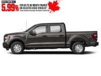 2023 Ford F-150 XL 4WD SuperCrew 5.5' Box Exterior Shot 6