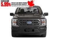 2023 Ford F-150 XL 4WD SuperCrew 5.5' Box Exterior Shot 5