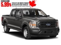 2023 Ford F-150 XL 4WD SuperCrew 5.5' Box Exterior Shot 8