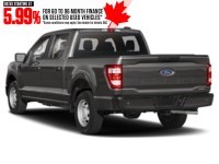 2023 Ford F-150 XL 4WD SuperCrew 5.5' Box Exterior Shot 9