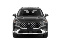 2021 Hyundai Santa Fe Preferred AWD w/Trend Package Exterior Shot 5