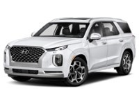 2021 Hyundai Palisade Ultimate Calligraphy 7-Passenger AWD Exterior Shot 1