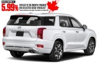 2022 Hyundai Palisade Ultimate Calligraphy 7-Passenger AWD Exterior Shot 2