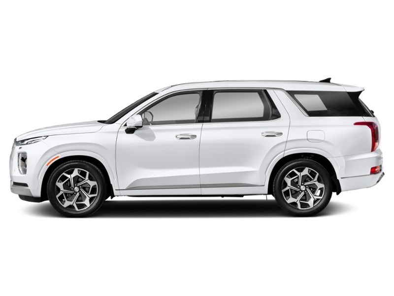 2021 Hyundai Palisade Ultimate Calligraphy 7-Passenger AWD Exterior Shot 6