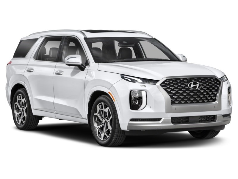 2021 Hyundai Palisade Ultimate Calligraphy 7-Passenger AWD Exterior Shot 8