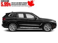 2022 BMW X3 xDrive30i Sports Activity Vehicle Exterior Shot 10