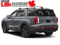 2025 Hyundai Palisade Urban 7-Passenger AWD Exterior Shot 9