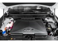 2024 Kia Niro EV Wave FWD Exterior Shot 3