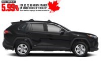 2024 Toyota RAV4 Hybrid Hybrid XLE AWD Exterior Shot 10