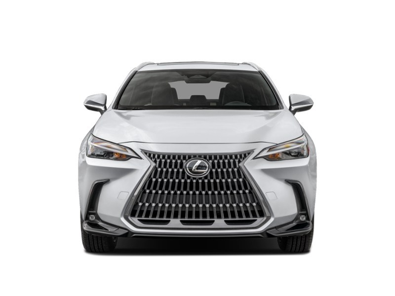 2024 Lexus NX 350h Base Exterior Shot 5