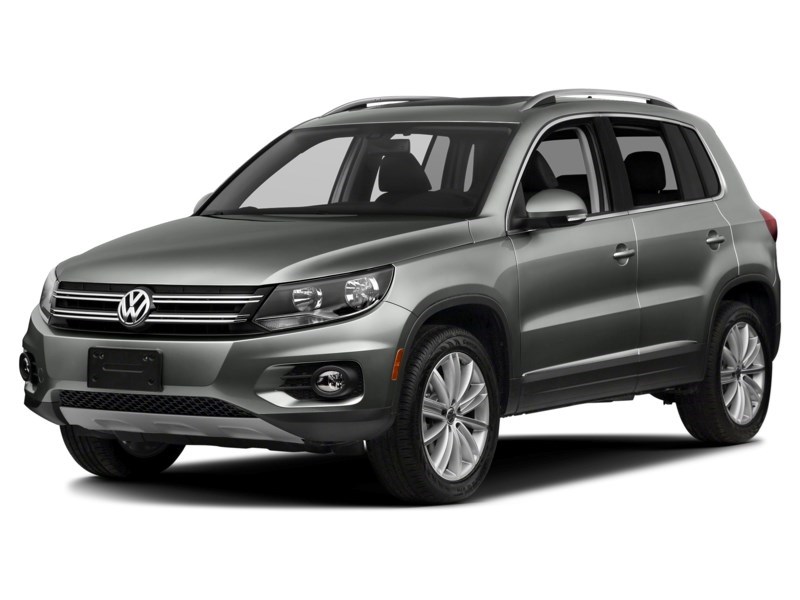 2014 Volkswagen Tiguan 4MOTION 4dr Auto Trendline Pepper Grey Metallic  Shot 4