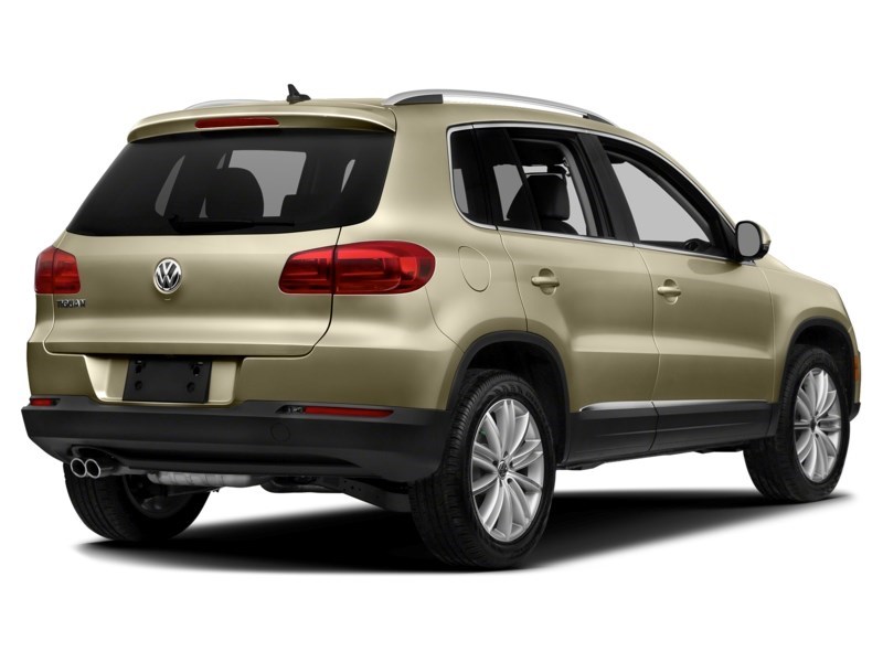 2014 Volkswagen Tiguan 4MOTION 4dr Auto Trendline White Gold Metallic  Shot 24