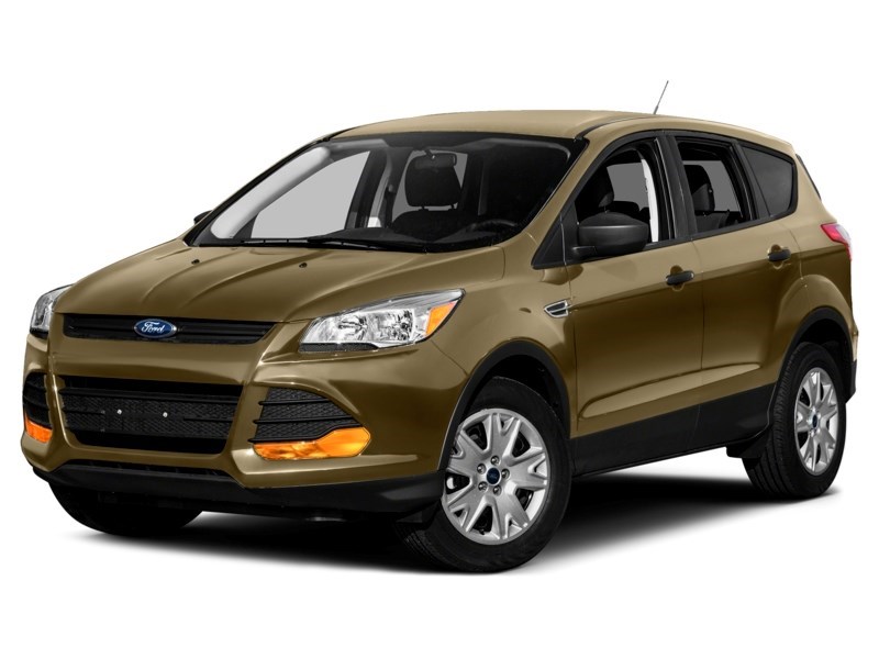 2015 Ford Escape 4WD 4dr SE Karat Gold  Shot 10