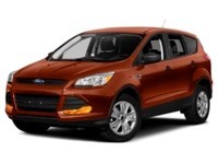 2015 Ford Escape 4WD 4dr SE Sunset  Shot 16