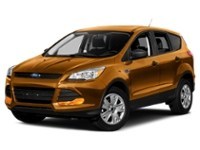 2016 Ford Escape FWD 4dr SE Electric Spice  Shot 13