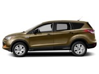 2015 Ford Escape 4WD 4dr SE Karat Gold  Shot 9