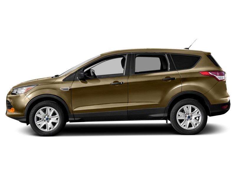 2015 Ford Escape 4WD 4dr SE Karat Gold  Shot 11