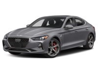 2021 Genesis G70 2.0T Elite Savile Silver  Shot 40
