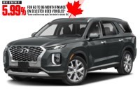 2020 Hyundai Palisade Luxury 7-Passenger AWD Steel Graphite  Shot 4