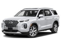 2020 Hyundai Palisade Luxury 7-Passenger AWD Hyper White  Shot 4