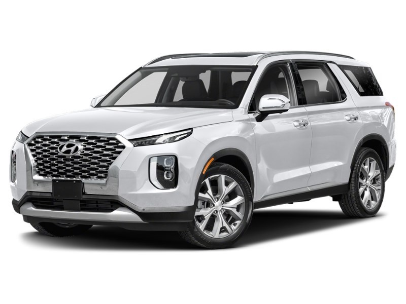 2020 Hyundai Palisade Luxury 7-Passenger AWD Hyper White  Shot 1
