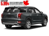 2020 Hyundai Palisade Luxury 7-Passenger AWD Steel Graphite  Shot 2