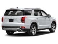 2020 Hyundai Palisade Luxury 7-Passenger AWD Hyper White  Shot 6