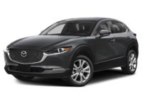 2023 Mazda CX-30 GS AWD Machine Grey Metallic  Shot 25