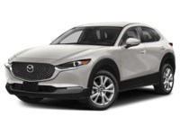 2023 Mazda CX-30 GS AWD Platinum Quartz Metallic  Shot 30