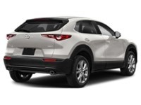 2023 Mazda CX-30 GS AWD Platinum Quartz Metallic  Shot 32