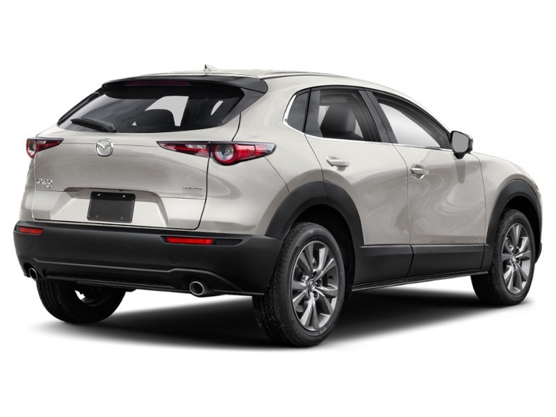 2024 Mazda CX-30 GT AWD Platinum Quartz Metallic  Shot 6