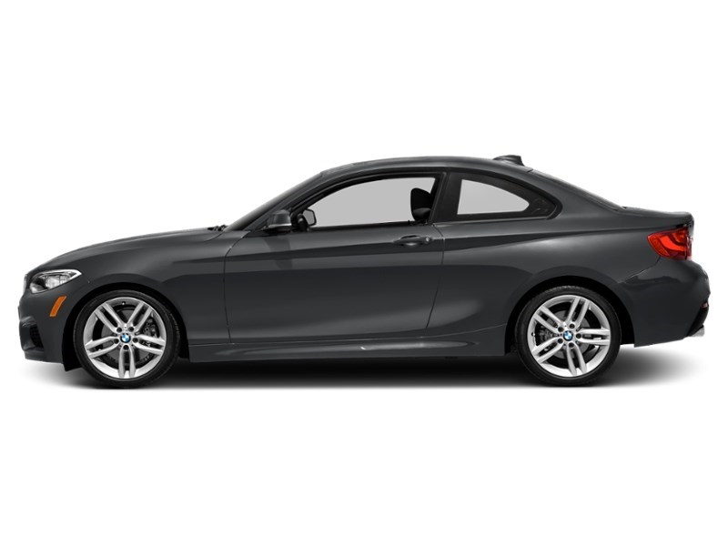2015 BMW 228 2dr Cpe 228i RWD Mineral Grey Metallic  Shot 53