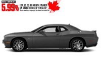 2017 Dodge Challenger 2dr Cpe R/T Shaker Destroyer Grey  Shot 27