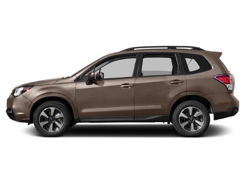 2017 Subaru Forester 5dr Wgn CVT 2.5i Convenience Sepia Bronze Metallic  Shot 5