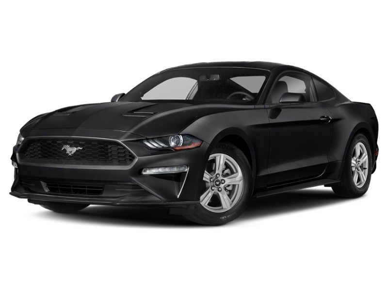 2020 Ford Mustang EcoBoost Fastback Shadow Black  Shot 4
