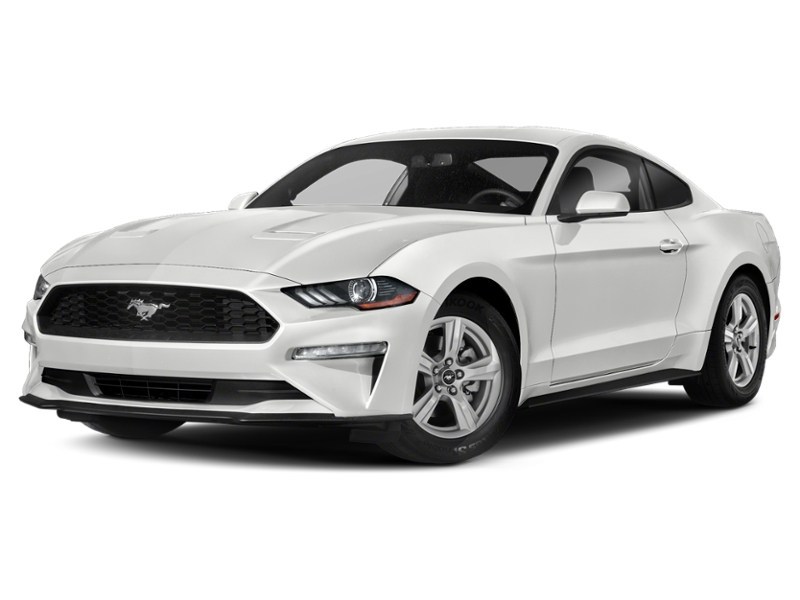 2020 Ford Mustang EcoBoost Fastback Oxford White  Shot 23