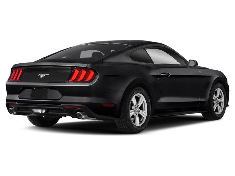 2020 Ford Mustang EcoBoost Fastback Shadow Black  Shot 6