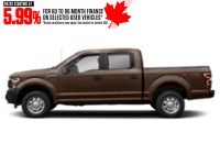 2018 Ford F-150 XL 4WD SuperCrew 5.5' Box Stone Grey  Shot 3