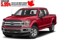 2019 Ford F-150 XLT 4WD SuperCrew 5.5' Box Race Red  Shot 4