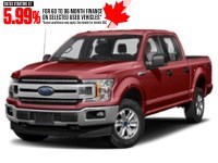 2019 Ford F-150 XLT 4WD SuperCrew 5.5' Box Ruby Red Metallic Tinted Clearcoat  Shot 7