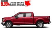 2019 Ford F-150 XLT 4WD SuperCrew 5.5' Box Race Red  Shot 5