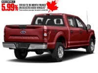 2019 Ford F-150 XLT 4WD SuperCrew 5.5' Box Ruby Red Metallic Tinted Clearcoat  Shot 12